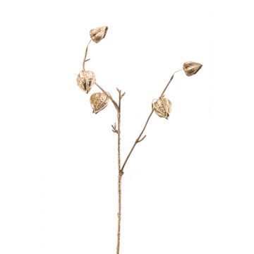Artificial Physalis branch TARAZED with fruits, gold, 24"/60cm