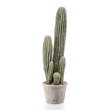 Artificial San Pedro cactus DACON in decorative pot, green, 22"/55cm