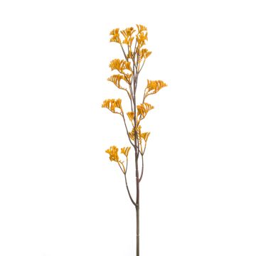 Artificial kangaroo flower EIRADO, yellow, 3ft/95cm