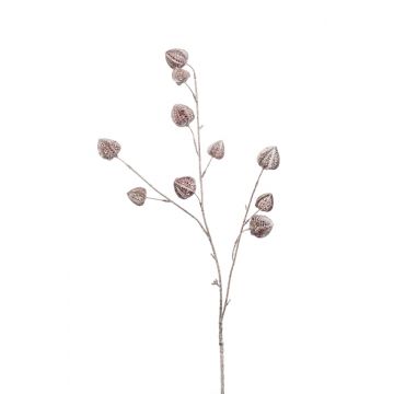 Artificial physalis branch ZHANG, fruits, frosted, brown, 31"/80cm