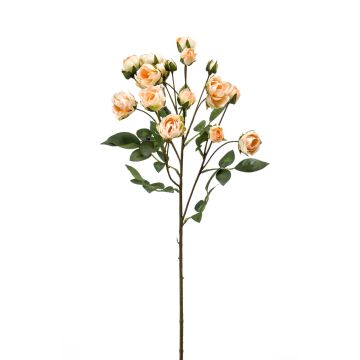 Artificial roses branch TOSSA, apricot, 22"/55cm