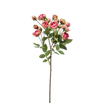 Artificial roses branch TOSSA, pink-green, 22"/55cm