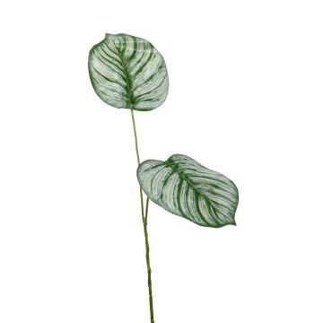 Artificial Calathea Orbifolia branch TAMARIU, green-white, 20"/50cm