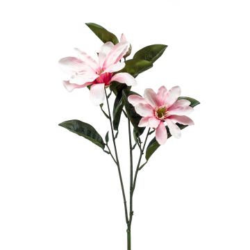 Faux flower Magnolia BEGUR, light pink, 31"/80cm