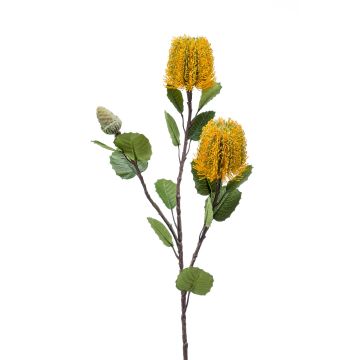 Artificial flower Banksia CONAKIR, yellow, 28"/70cm