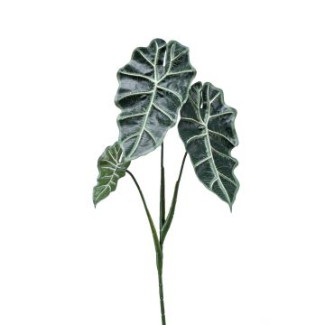 Plastic Alocasia Sanderiana MATHEA, spike, green-white, 28"/70cm