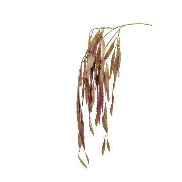 Artificial Rhipsalis branch EHUD, brown-purple, 31"/80cm