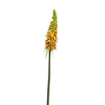 Artificial torch lily MUNDAKA, yellow, 33"/85cm