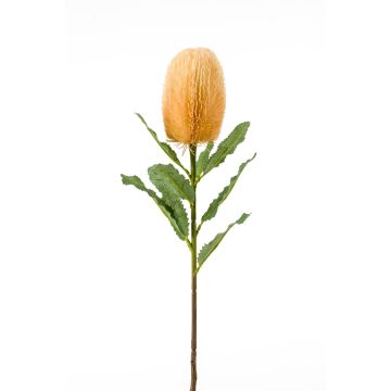 Artificial Banksia YUSTE, cream-orange, 26"/65cm