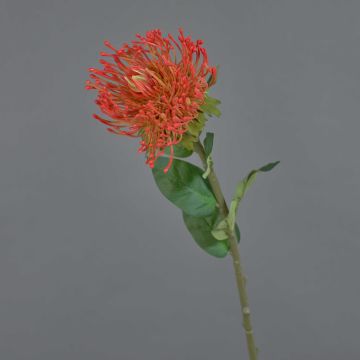 Artificial Protea HERVAS, red, 28"/70cm