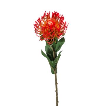 Artificial Protea HERVAS, red, 28"/70cm