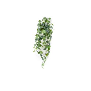 Plastic Polka dot plant ALANGE on spike, green-white, 3ft/90cm