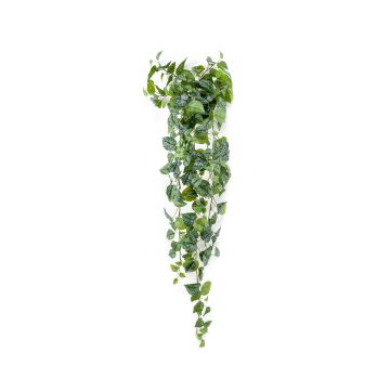 Plastic Polka dot plant ALANGE on spike, green-white, 4ft/120cm