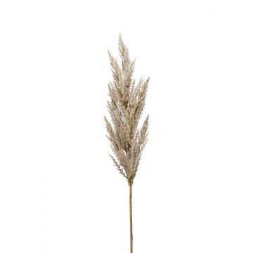 Artificial pampas grass panicle BATERNO, with panicle, cream, 3ft/90cm