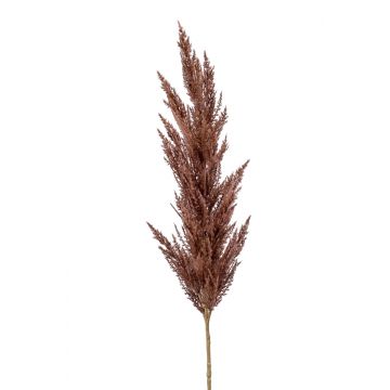 Artificial pampas grass panicle BATERNO, dark brown, 4ft/115cm