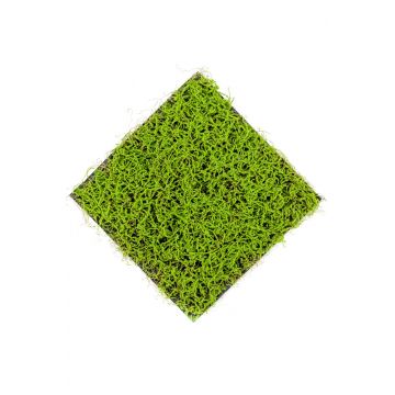 Artificial love curls grass mat NOGALES, green, 20"x20"/50x50cm