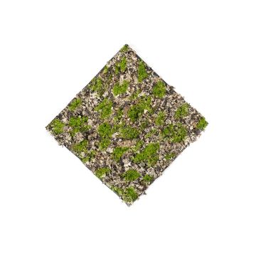 Artificial moss bark mat MEHDI, brown-green, 20"x20"/50x50cm