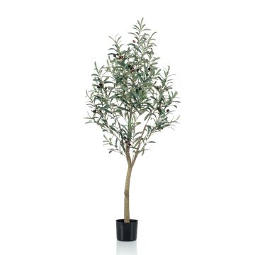 Artificial olive tree CLAYTON, artificial trunk, with fruits, 5ft/140cm