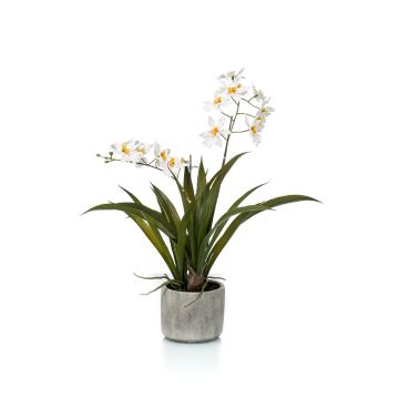 Artificial orchid Oncidium COLUNGA in ceramic pot, white, 18"/45cm