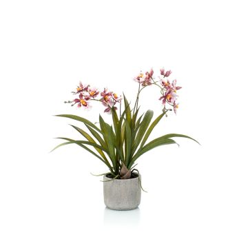 Artificial orchid Oncidium COLUNGA in ceramic pot, light pink-purple, 18"/45cm