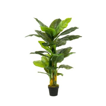 Artificial peace lily SIERO, green, 4ft/130cm