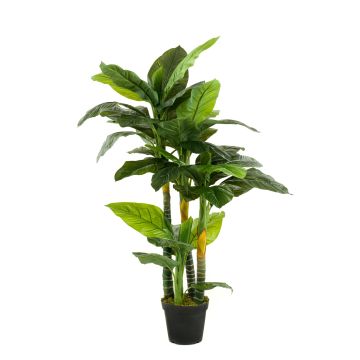Artificial peace lily SIERO, green, 5ft/160cm