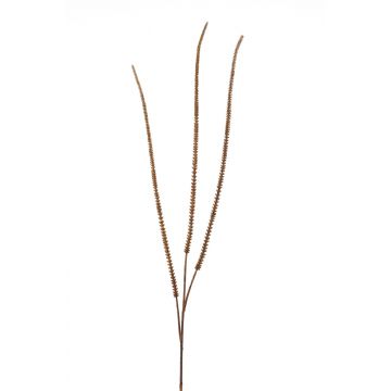 Artificial foxtail grass panicles TAMESA, brown, 4ft/115cm