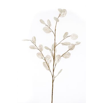 Artificial lunaria branch BUELNA, cream, 3ft/105cm