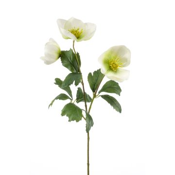 Artificial Christmas rose MERUEL, white-green, 18"/45cm