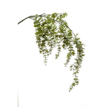 Decorative eucalyptus branch PINORO, green, 4ft/120cm