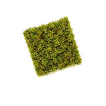 Decorative Iceland moss mat BEAS, crossdoor, flame resistant, 20"x20"/50x50cm