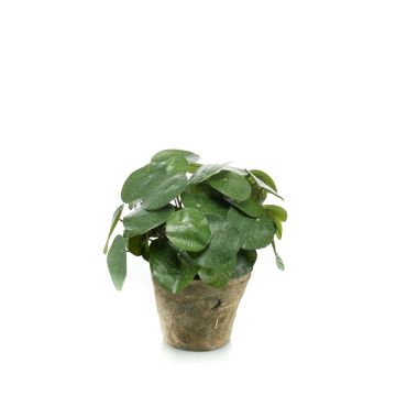Artificial Chinese money plant SYBIL in terracotta pot, green, 9"/22cm