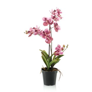 Artificial orchid Vanda flower CAMPO, light pink-pink, 24"/60cm