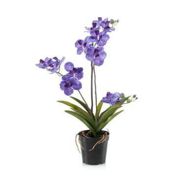 Artificial orchid Vanda flower CAMPO, violet, 24"/60cm