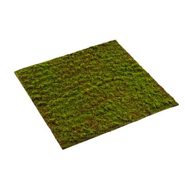Artificial moss mat FERMIN, green, 3ftx3ft/100x100cm