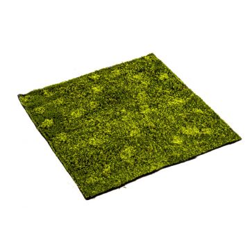 Artificial hypnum moss mat FERMIN, green, 3ftx3ft/100x100cm