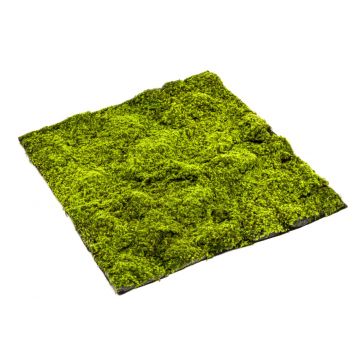 Artificial peat moss mat FERMIN, green, 3ftx3ft/100x100cm