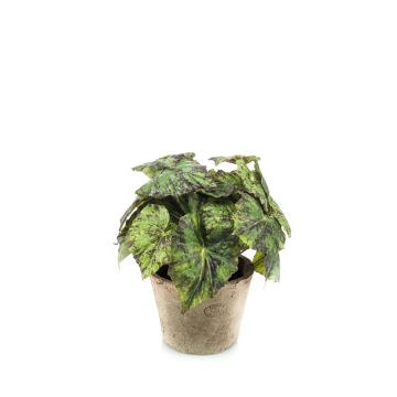 Artificial painted leaf begonia MEIRA in terracotta pot, bushy, green-black, 10"/25cm