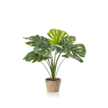 Artificial Philodendron Monstera Deliciosa BRITI, terracotta pot, 24"/60 cm