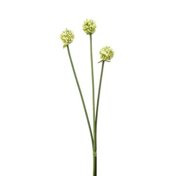 Artificial allium flower bundle LAMDA, cream-green, 26"/65 cm