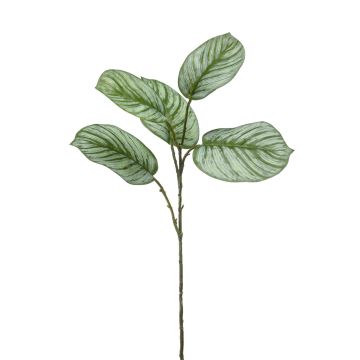Artificial Calathea Orbifolia branch ALNIYAT, green-white, 30"/75 cm