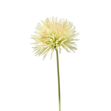 Artificial Chrysanthemum flower KISANNA, light green-pink, 24"/60 cm