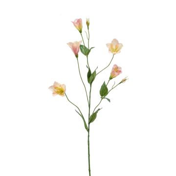 Fake Lisianthus PAZAN, pink-cream, 28"/70 cm