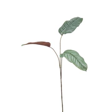 Artificial branch Calathea Orbifolia SEGINUS, green-white, 4ft/110 cm