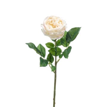 Silk flower cabbage rose CATINCA, cream, 24"/60 cm