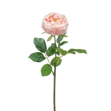 Silk flower cabbage rose CATINCA, pale pink, 24"/60 cm