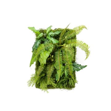Artificial fern alocasia hedge / mat ALTERE green, 24"x16"/60x40cm