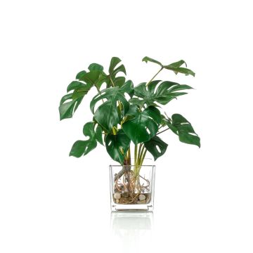 Fake Philodendron Monstera Deliciosa PAVONIS in glass pot, 18"/45 cm