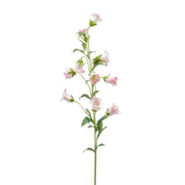 Silk bellflower AIMI, pink-cream, 3ft/90 cm