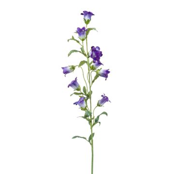 Silk bellflower AIMI, purple-cream, 3ft/90 cm